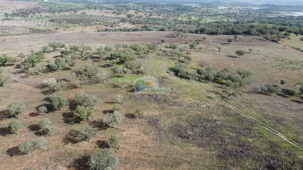 Quinta T10 para Venda em Capelins (Santo Antonio) Foto 14