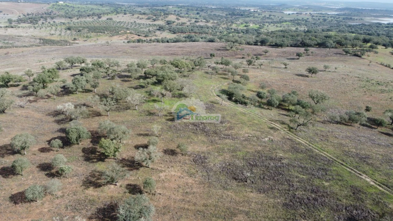 Quinta T10 para Venda em Capelins (Santo Antonio) Foto 12