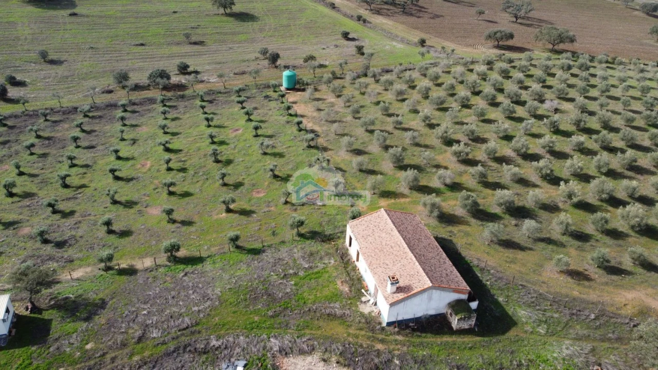 Quinta T10 para Venda em Capelins (Santo Antonio) Foto 7