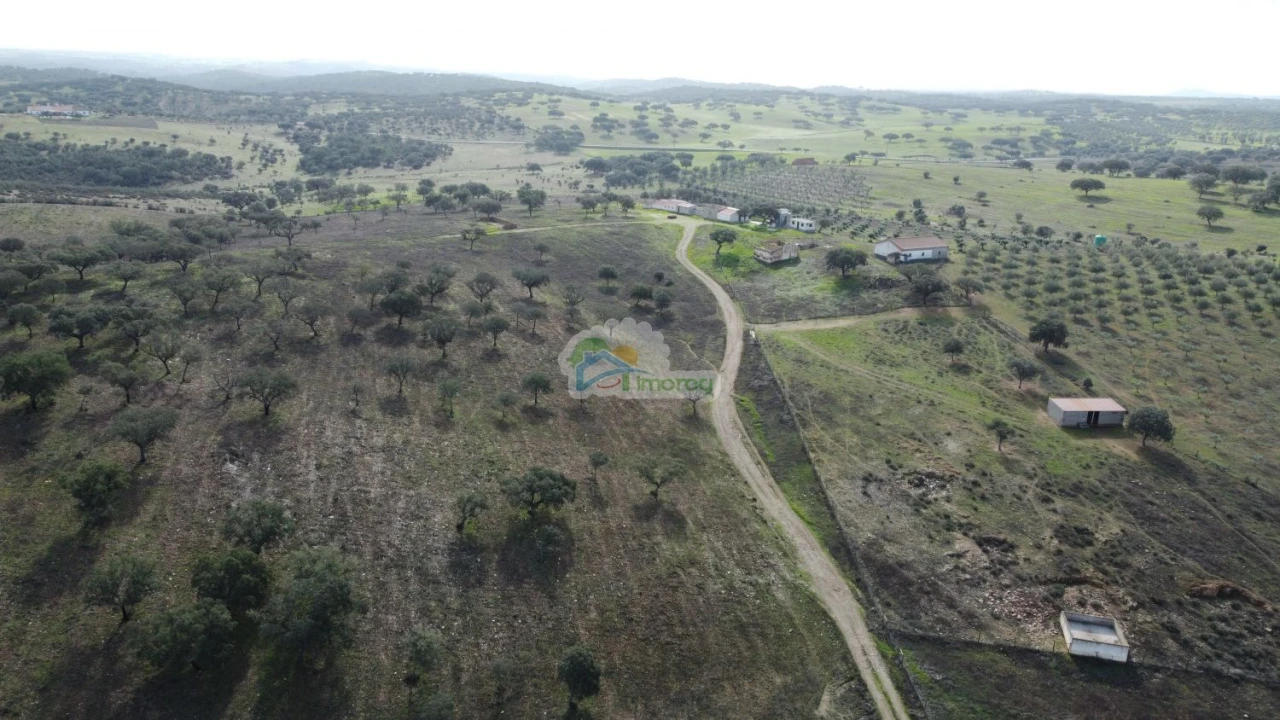 Quinta T10 para Venda em Capelins (Santo Antonio) Foto 3