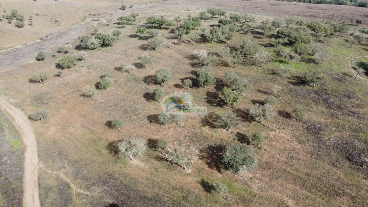 Quinta T10 para Venda em Capelins (Santo Antonio) Foto 10