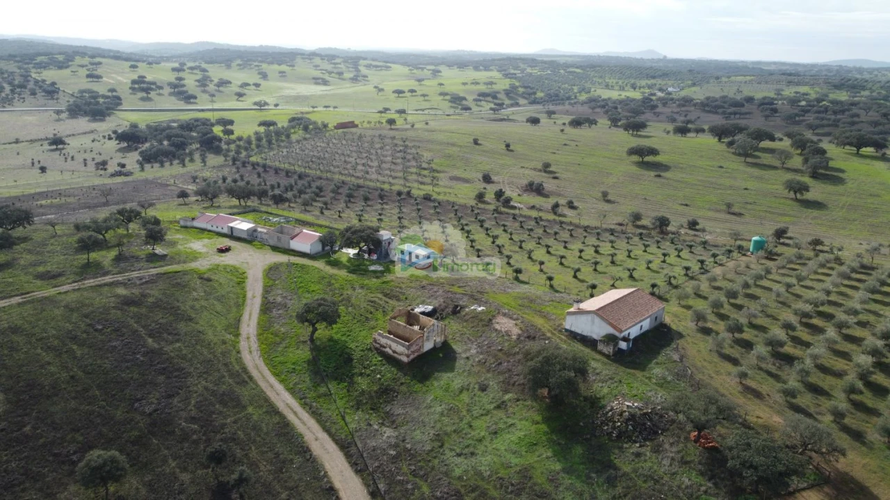 Quinta T10 para Venda em Capelins (Santo Antonio) Foto 4