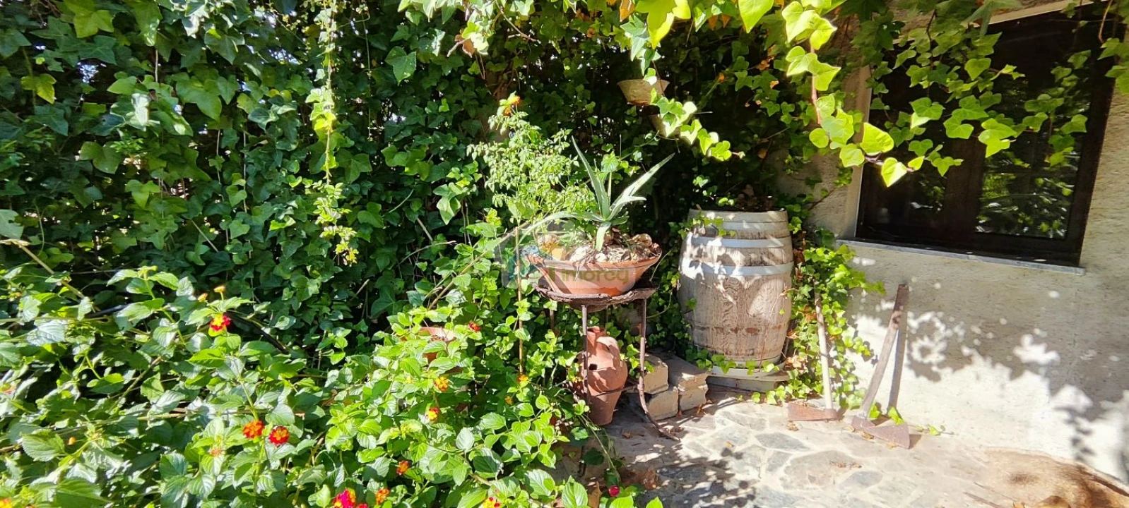 Quinta T1 para Venda em Reguengos de Monsaraz Foto 10