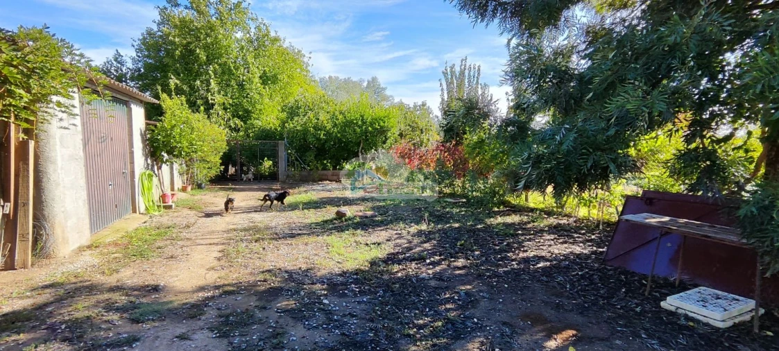 Quinta T1 para Venda em Reguengos de Monsaraz Foto 9