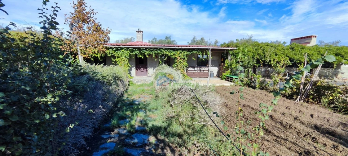 Quinta T1 para Venda em Reguengos de Monsaraz Foto 1