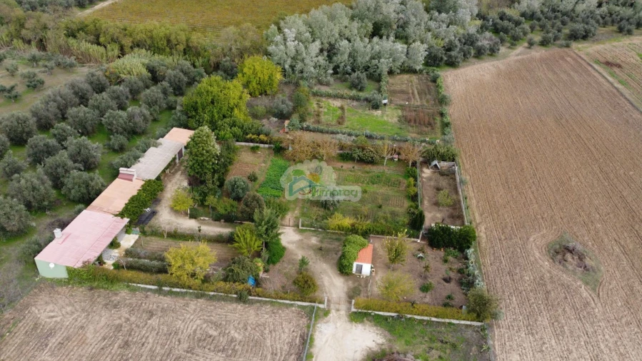 Quinta T1 para Venda em Reguengos de Monsaraz Foto 3