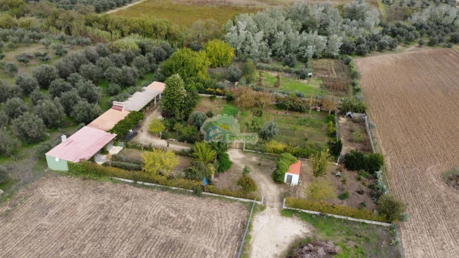 Quinta T1 para Venda em Reguengos de Monsaraz Foto 42