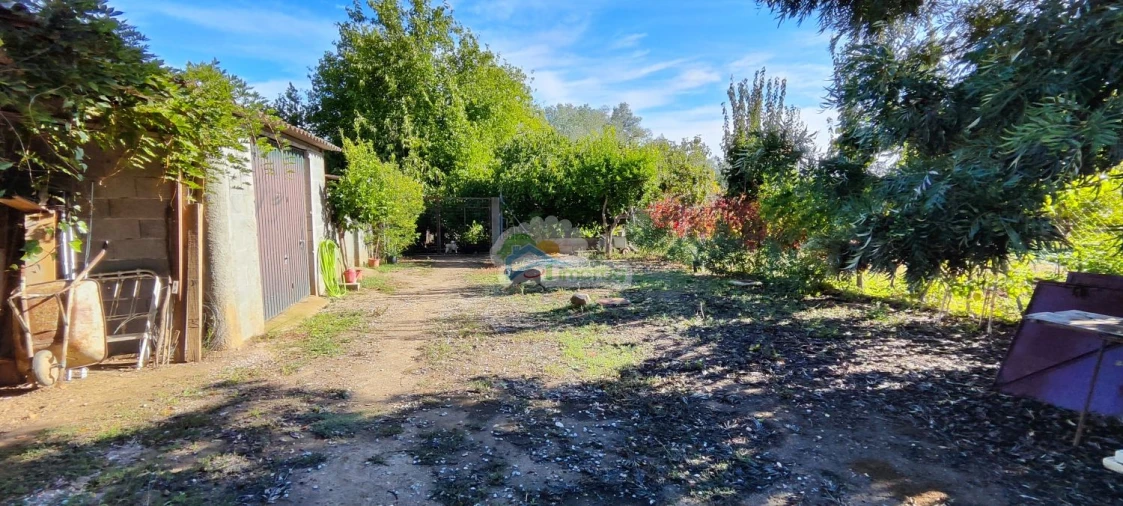 Quinta T1 para Venda em Reguengos de Monsaraz Foto 7