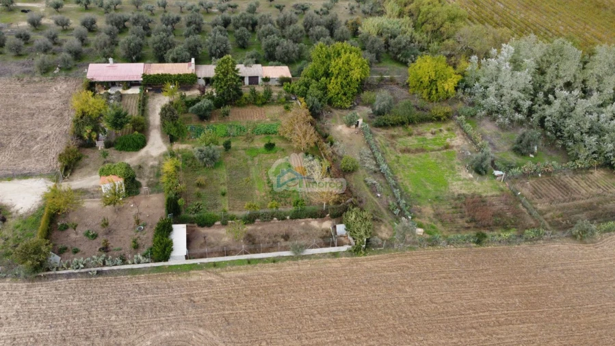 Quinta T1 para Venda em Reguengos de Monsaraz Foto 45