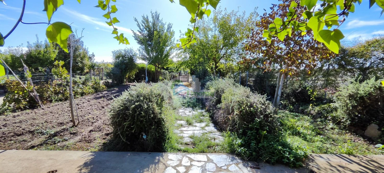 Quinta T1 para Venda em Reguengos de Monsaraz Foto 40