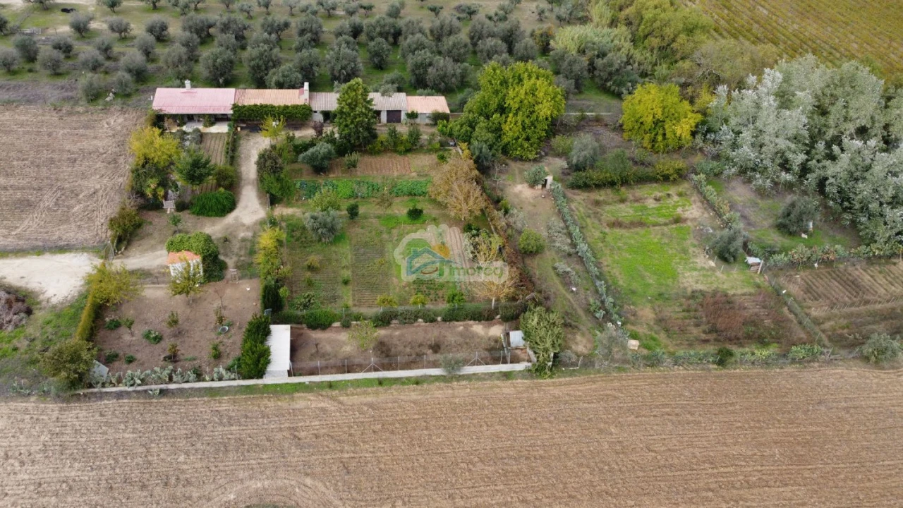 Quinta T1 para Venda em Reguengos de Monsaraz Foto 43