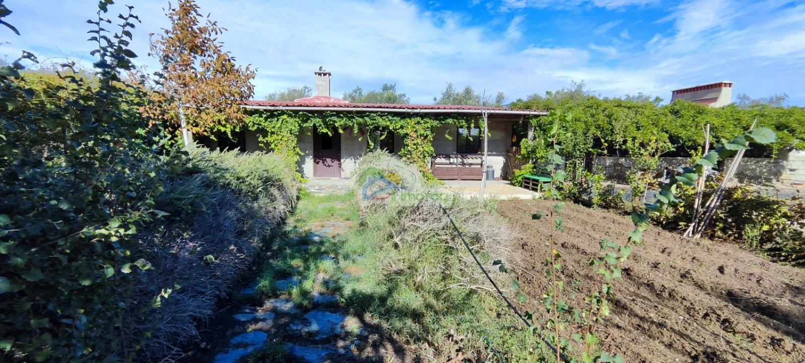 Quinta T1 para Venda em Reguengos de Monsaraz Foto 1