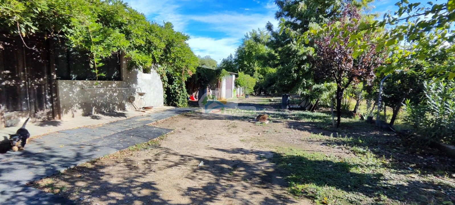 Quinta T1 para Venda em Reguengos de Monsaraz Foto 5