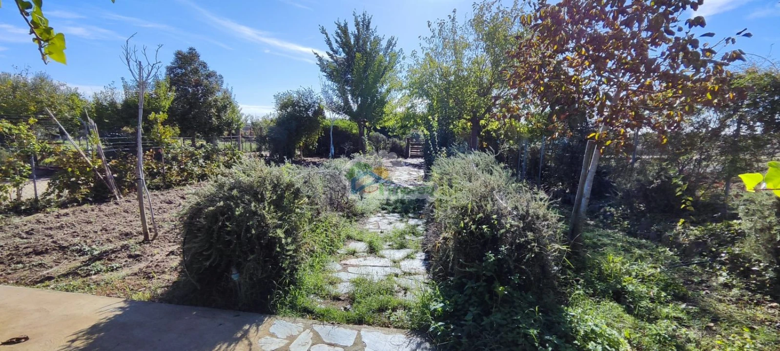 Quinta T1 para Venda em Reguengos de Monsaraz Foto 39