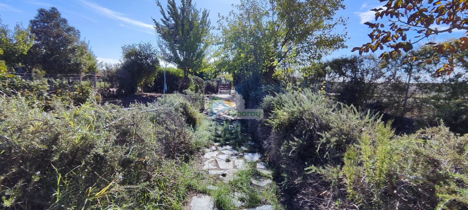 Quinta T1 para Venda em Reguengos de Monsaraz Foto 41