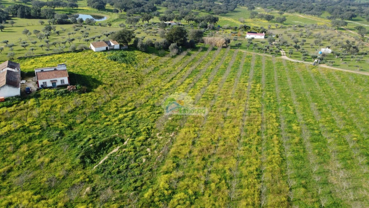 Quinta T3 para Venda em Portel Foto 48