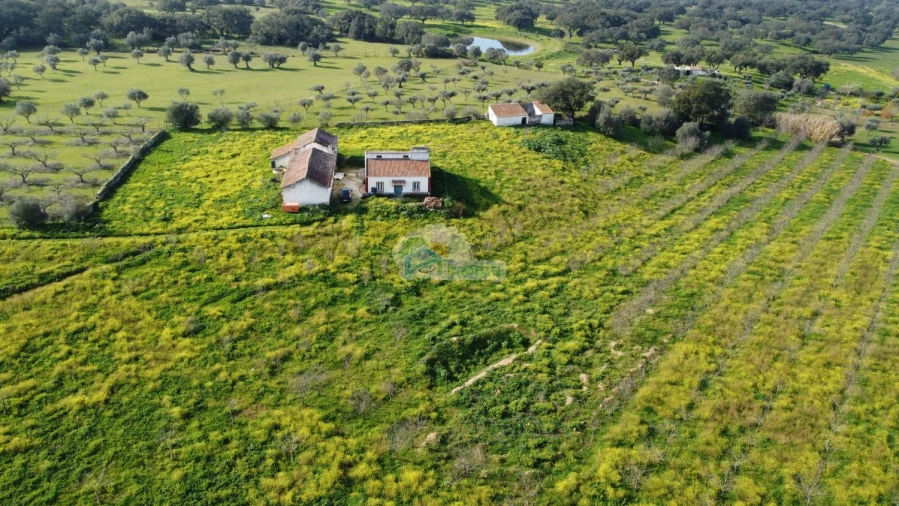 Quinta T3 para Venda em Portel Foto 14