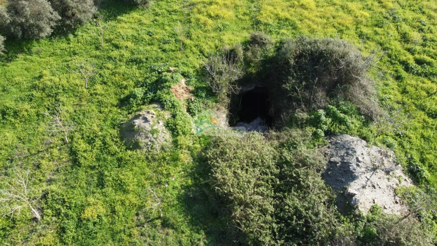 Quinta T3 para Venda em Portel Foto 59