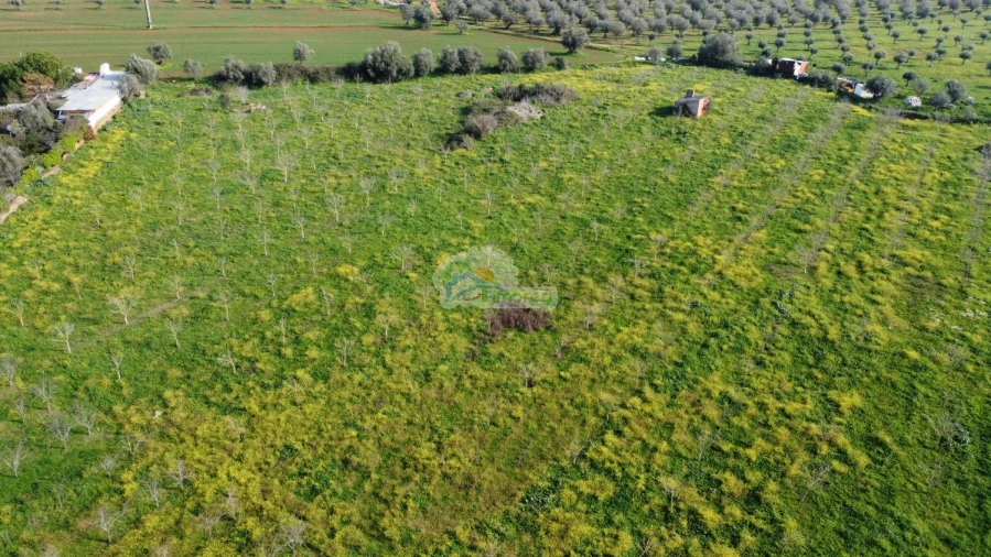 Quinta T3 para Venda em Portel Foto 47