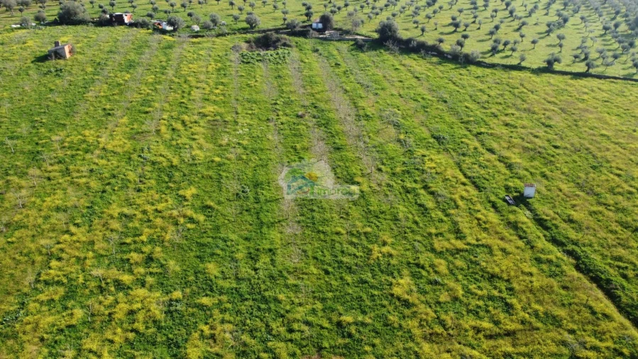 Quinta T3 para Venda em Portel Foto 42