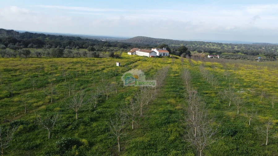 Quinta T3 para Venda em Portel Foto 53