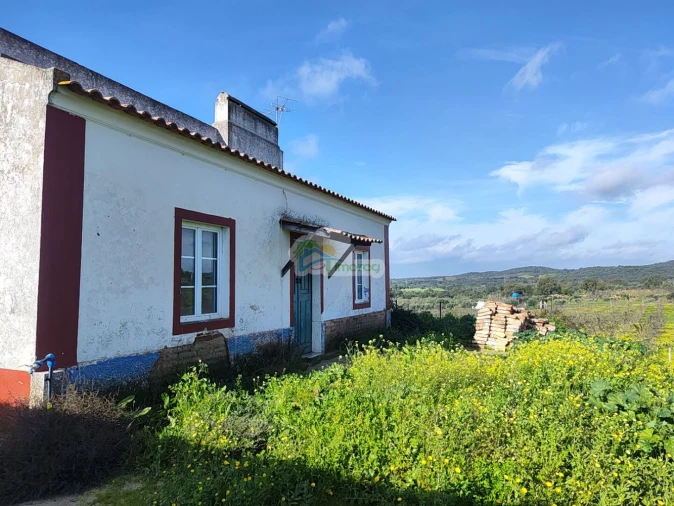 Quinta T3 para Venda em Portel Foto 4