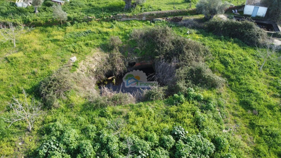 Quinta T3 para Venda em Portel Foto 50