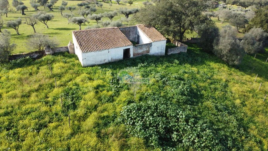 Quinta T3 para Venda em Portel Foto 20