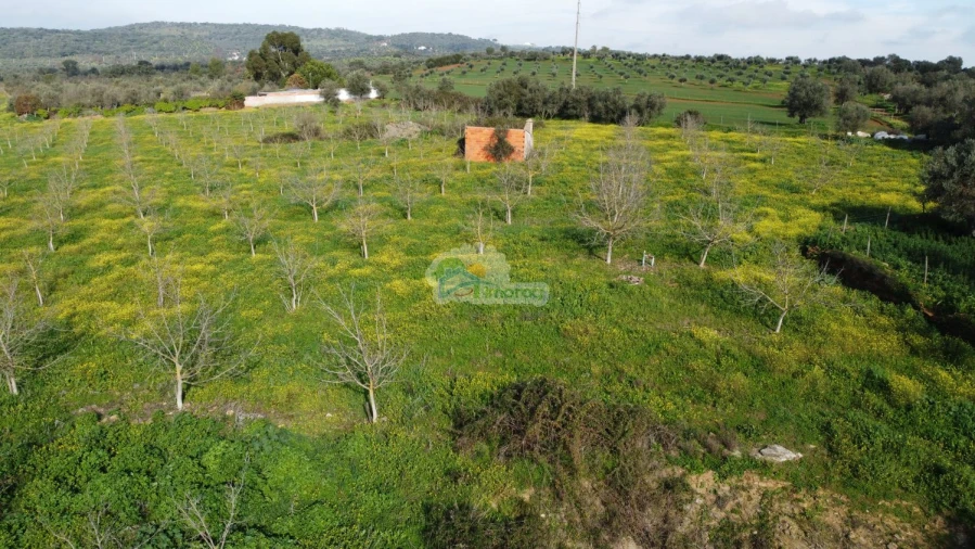 Quinta T3 para Venda em Portel Foto 56