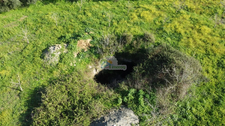 Quinta T3 para Venda em Portel Foto 58