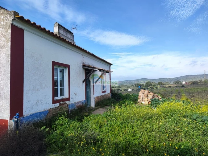 Quinta T3 para Venda em Portel Foto 7