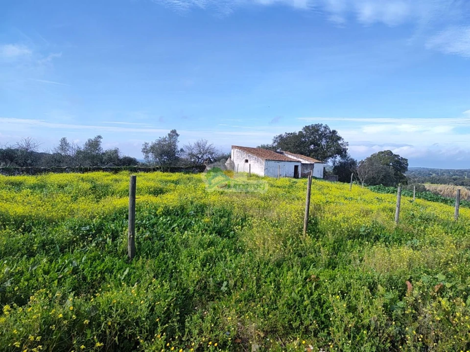 Quinta T3 para Venda em Portel Foto 37