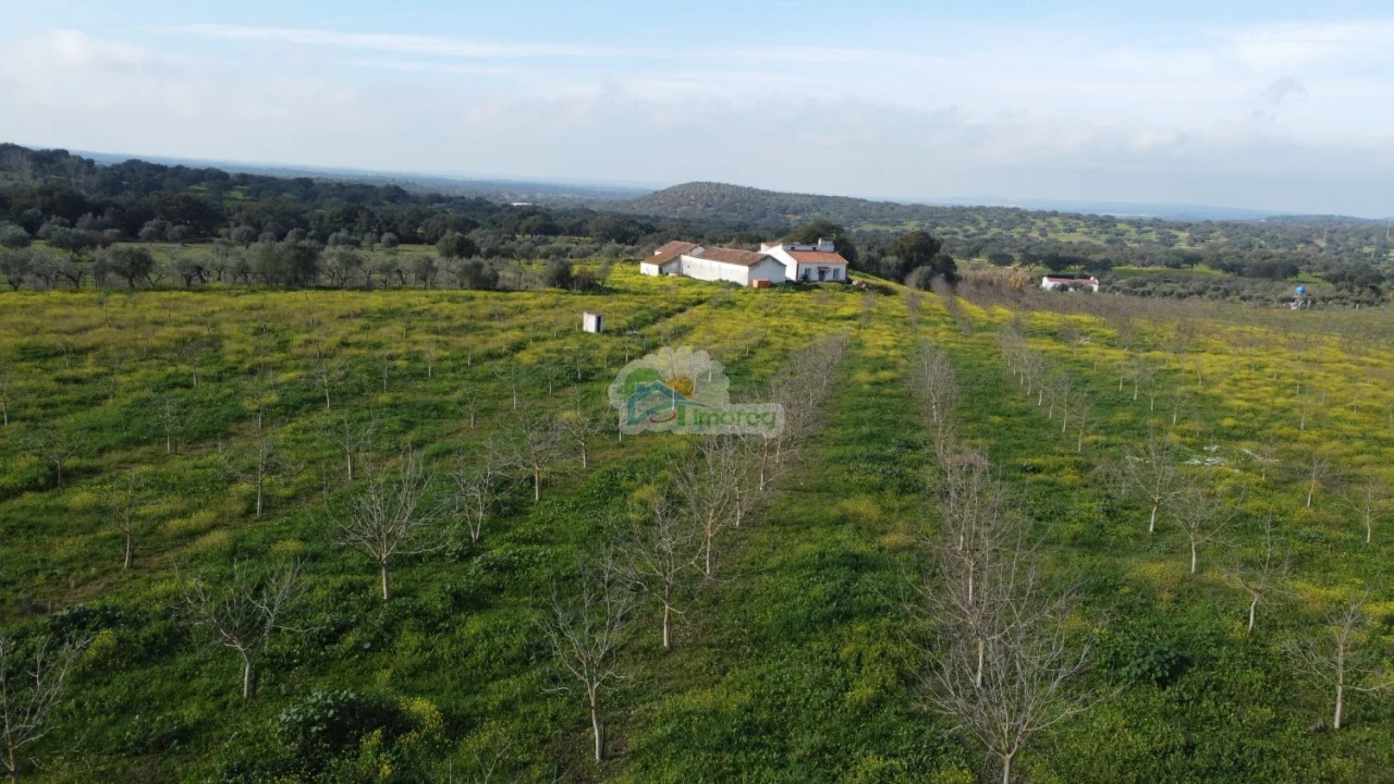 Quinta T3 para Venda em Portel Foto 53