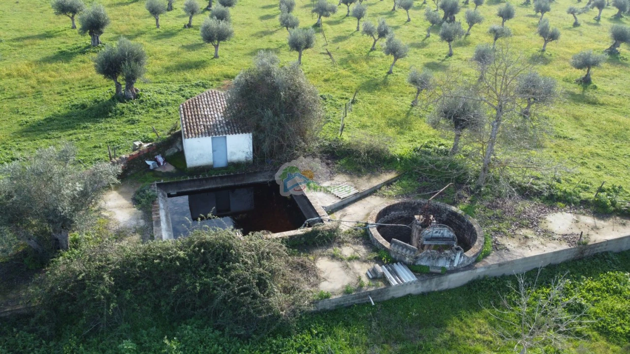 Quinta T3 para Venda em Portel Foto 51