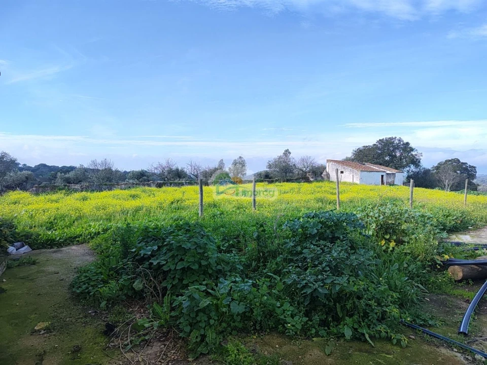 Quinta T3 para Venda em Portel Foto 38