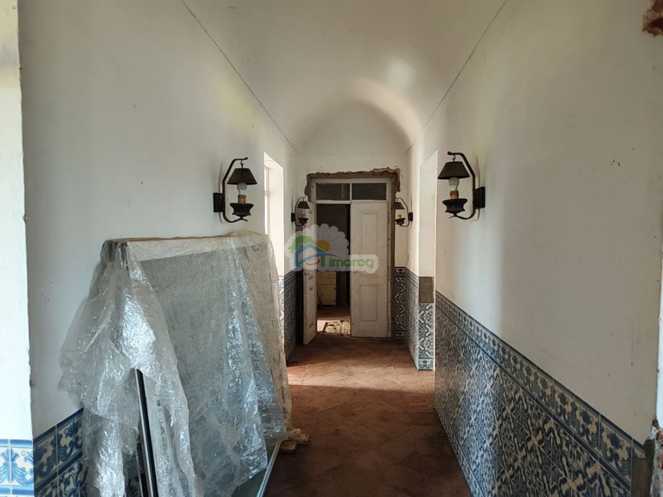 Quinta T3 para Venda em Portel Foto 24