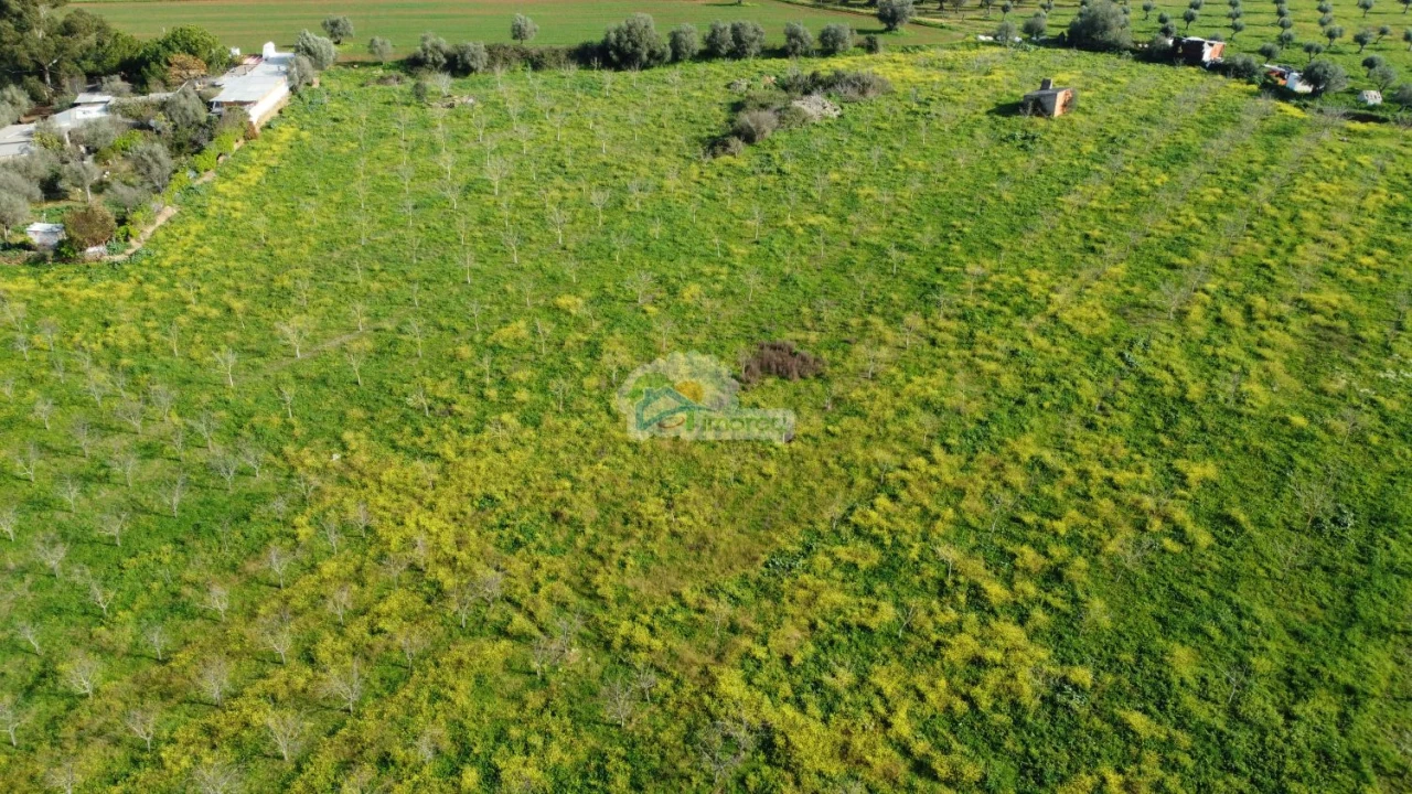 Quinta T3 para Venda em Portel Foto 41