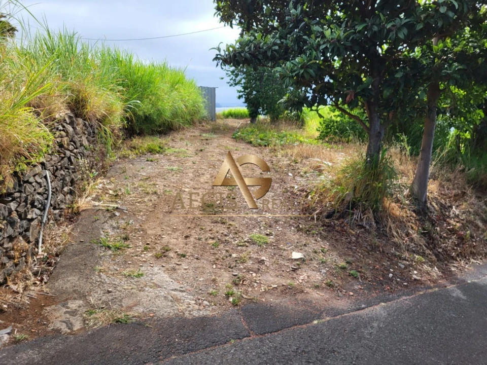 Terreno para Venda em Santa Cruz Foto 7
