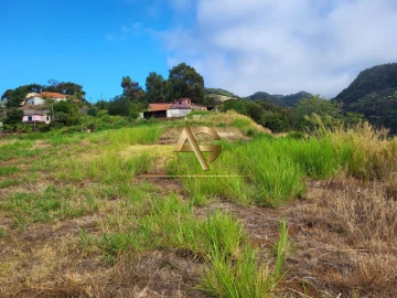 Terreno para Venda em Santa Cruz
