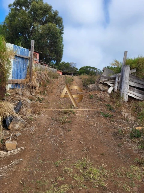 Terreno para Venda em Santa Cruz