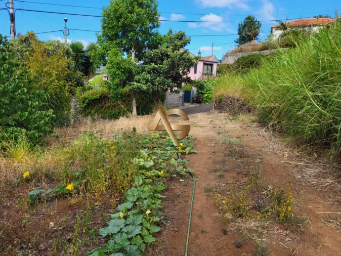 Terreno para Venda em Santa Cruz Foto 2