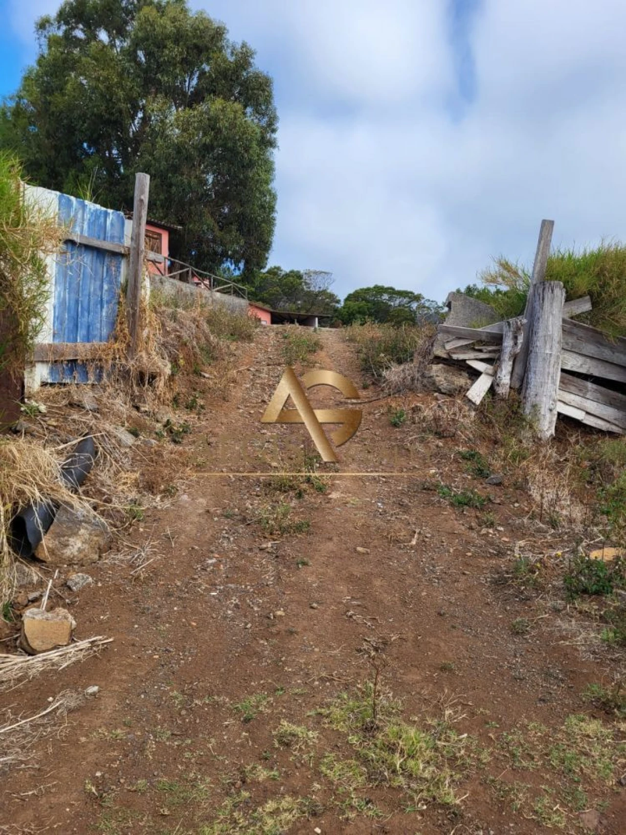 Terreno para Venda em Santa Cruz Foto 3