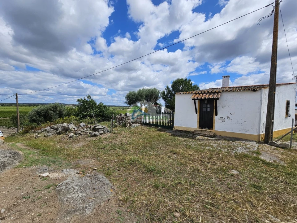 Quinta T3 para Venda em Reguengos de Monsaraz Foto 54