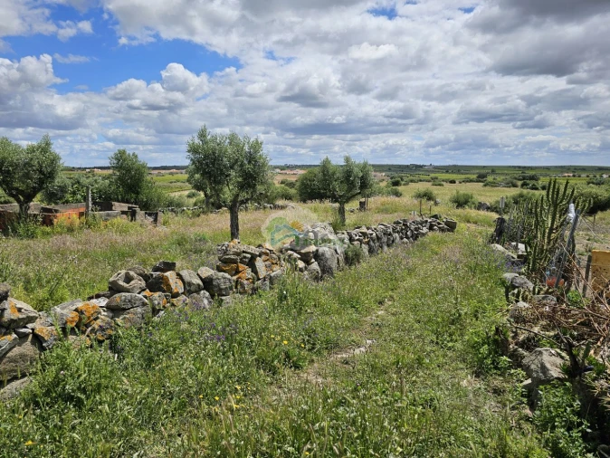 Quinta T3 para Venda em Reguengos de Monsaraz Foto 49