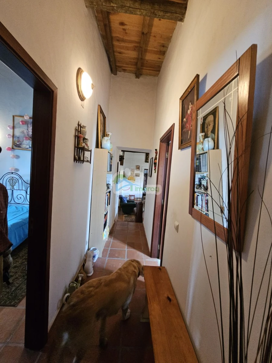 Quinta T3 para Venda em Reguengos de Monsaraz Foto 8