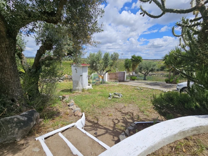 Quinta T3 para Venda em Reguengos de Monsaraz Foto 58