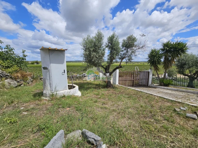 Quinta T3 para Venda em Reguengos de Monsaraz Foto 59