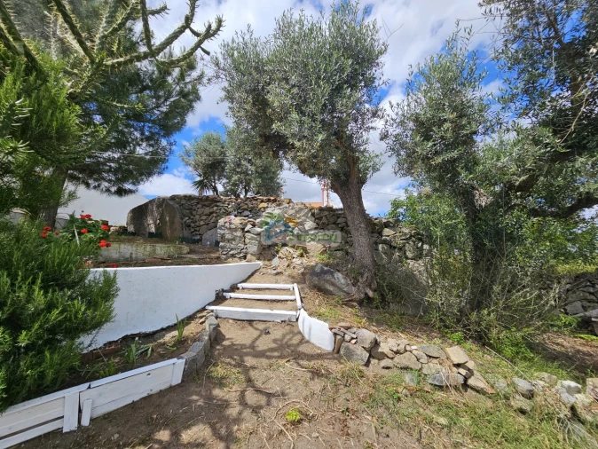 Quinta T3 para Venda em Reguengos de Monsaraz Foto 1