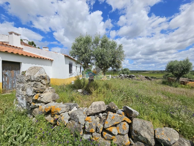 Quinta T3 para Venda em Reguengos de Monsaraz Foto 51