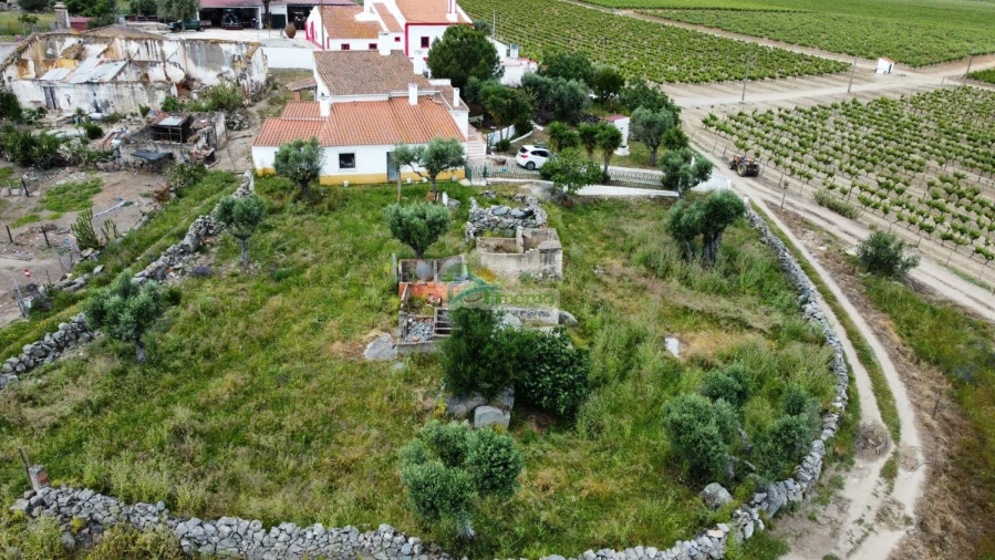 Quinta T3 para Venda em Reguengos de Monsaraz Foto 60